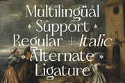 Almoda Karme Modern Display Serif, a Serif Font by timelesstype.co (Thumbnail 14 of 20)