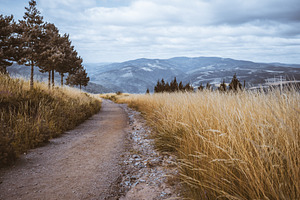 Mountain trail through golden grass, a Nature Photo by SkyNext