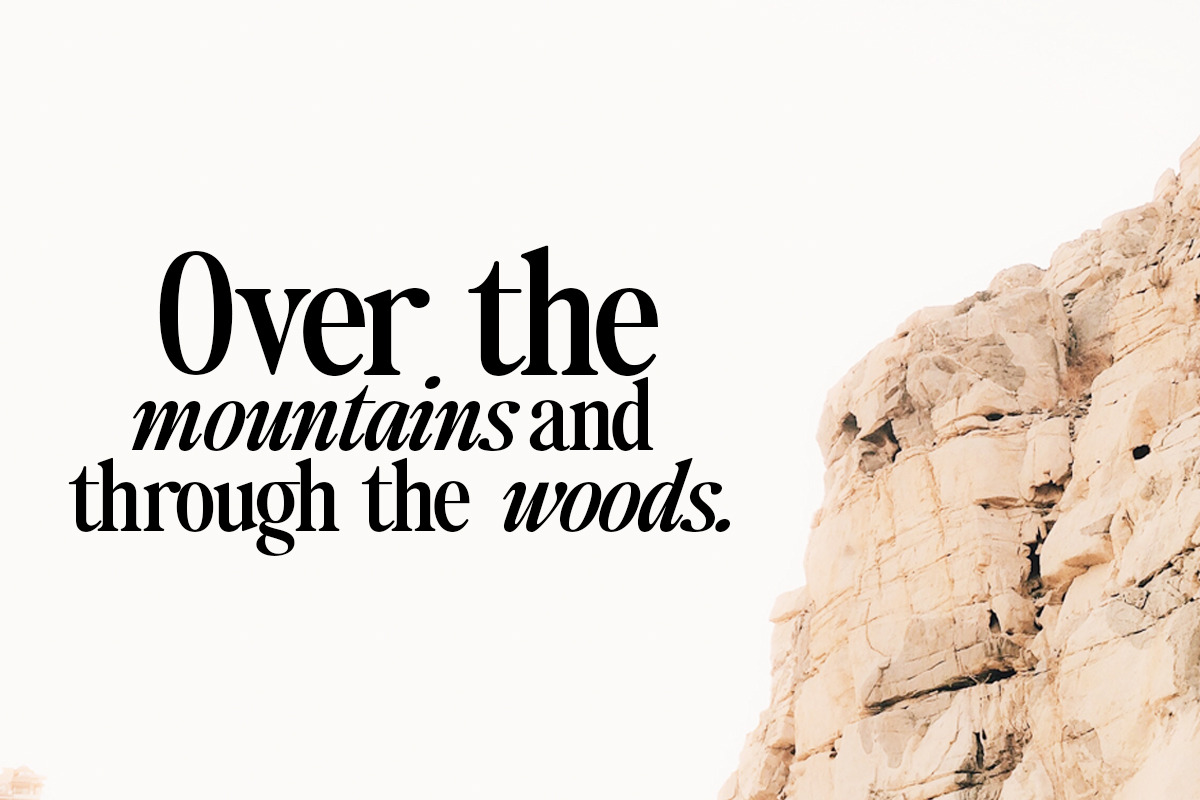 Naturally Serif, a Serif Font by Positive TypeFoundry (Photo 13 of 15)