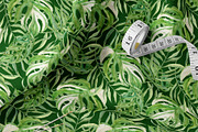 Tropical Flowers. Exotic flora set, an Illustration by Tata Pilip (Thumbnail 16 of 21)
