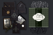 Vector Fleur de Lis & Flourishes, an Object Illustration by FleurArt (Thumbnail 3 of 17)