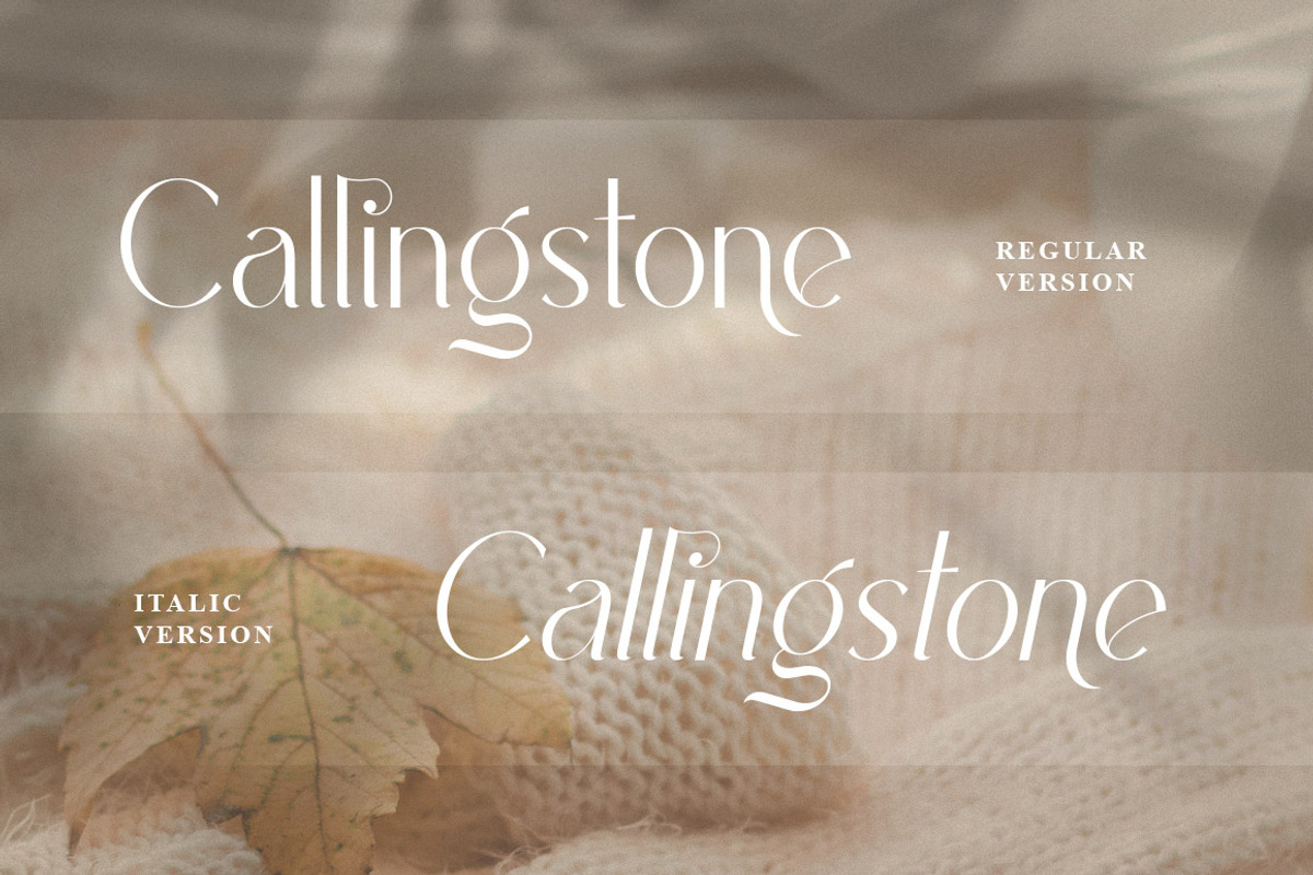 Callingstone Modern Sans Serif Font, a Sans Serif Font by Heinzel Std (Photo 7 of 9)