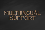 Waldecry A Modern Serif Font, a Serif Font by Storytype Studio (Thumbnail 12 of 15)