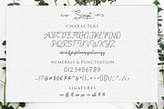 Springfield | Fontduo+Extras, a Script Font by Weape Studio (Thumbnail 4 of 11)