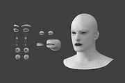 Natural Male Head 01 Generic Mesh, a Characters & Person 3D Model by VK Studio (Thumbnail 14 of 29)