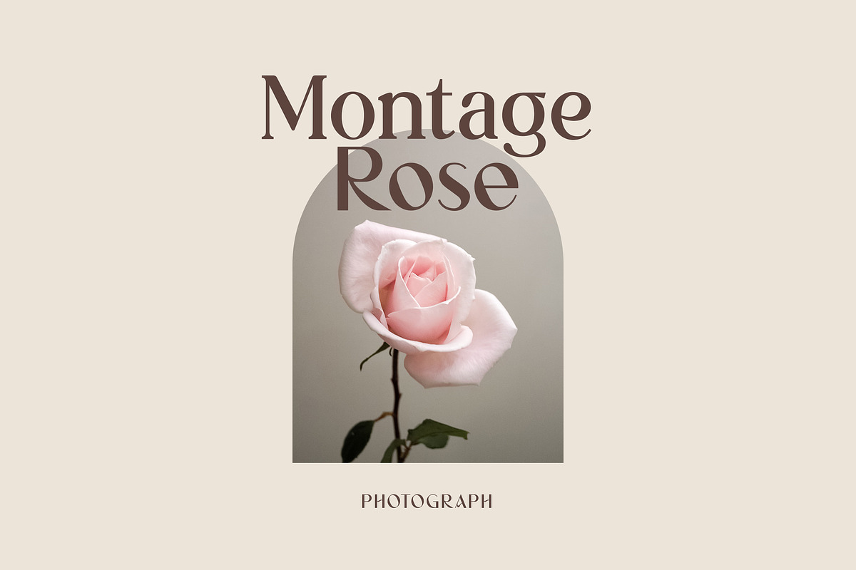 Mont Glinoza Modern Serif Font, a Serif Font by UICreative (Photo 2 of 14)