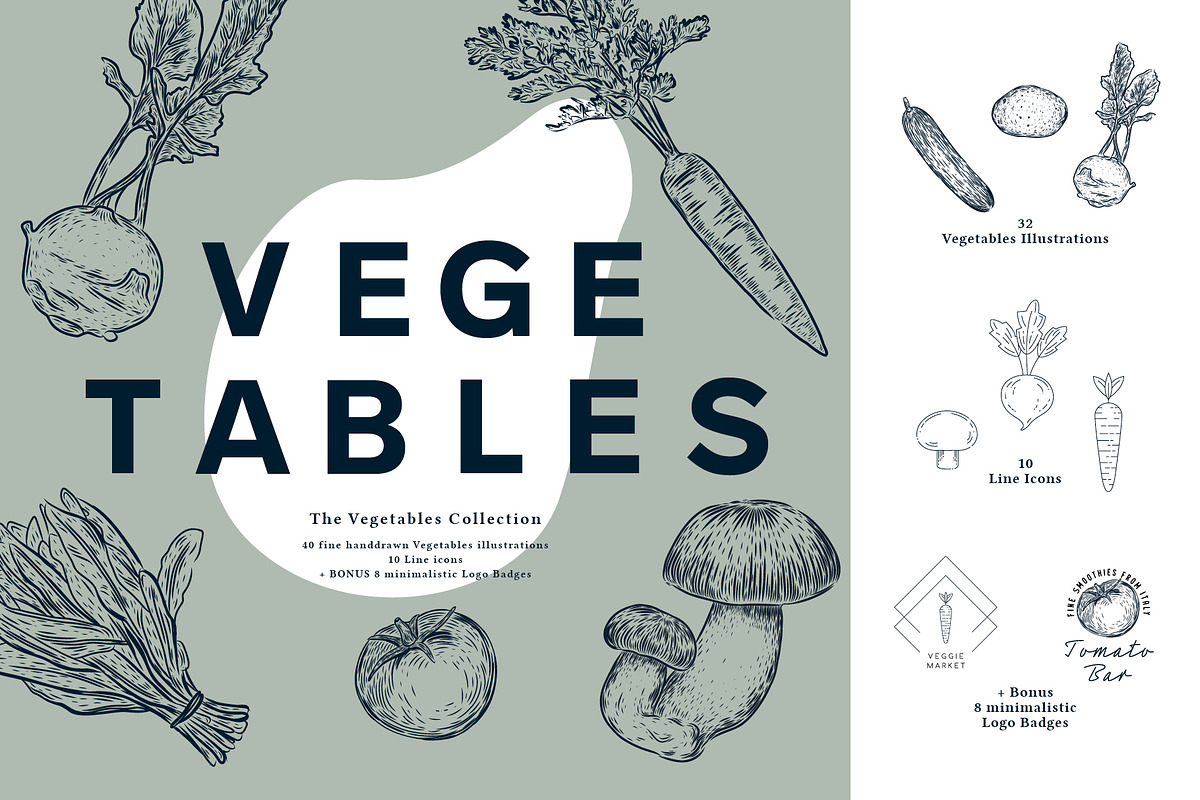 The Vegetables Collection, a Food Illustration by dicreate (Photo 1 of 14)