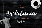 Dollyn Script - Casual Playful Font, a Script Font by Konstantine Studio (Thumbnail 3 of 11)