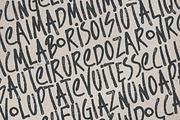 Brink - Brush Font, a Font by Tugcu Design Co. (Thumbnail 6 of 7)