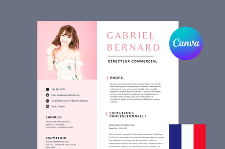 Cv francais, Modèles de CV Simples