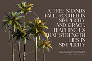 Murow Elegant Serif Font Typeface, a Serif Font by Perfectype (Thumbnail 2 of 10)
