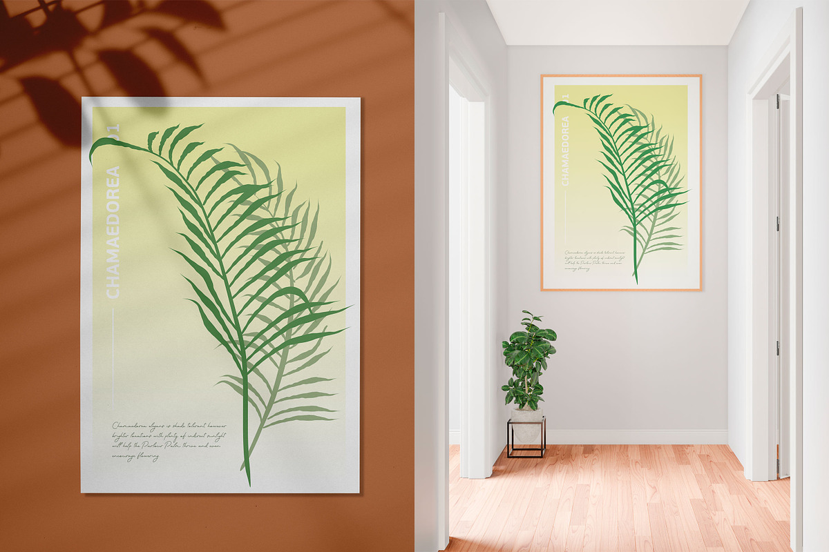 6 House Plants | Botanical Bundle, a Decorative Illustration by Lines And Crafts (Photo 2 of 7)