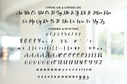 Bigde | Script Font, a Handwritten Font by Scratchones (Thumbnail 7 of 9)