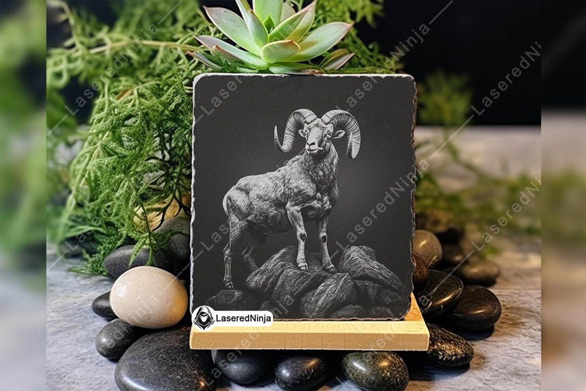 Ram Sheep Bighorn Male Goat Breed, a Background Graphic by LaseredNinja (Photo 7 of 7)