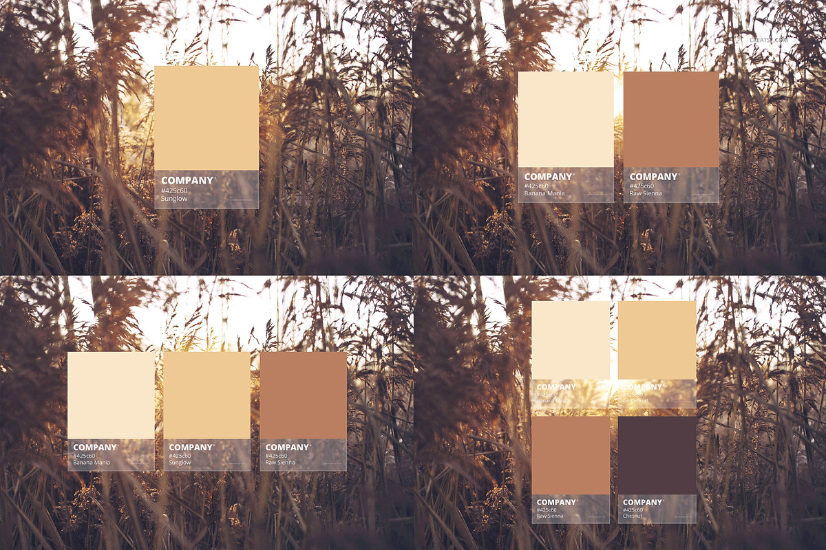 Color Match Mockup Set, a Product Mockup by creatsy5
