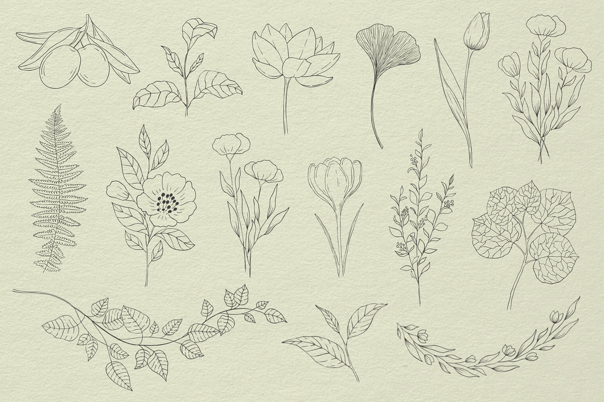 Botanical Procreate stamps, cliparts, a Brush Add-On by Veronika Gotovceva (Photo 5 of 6)