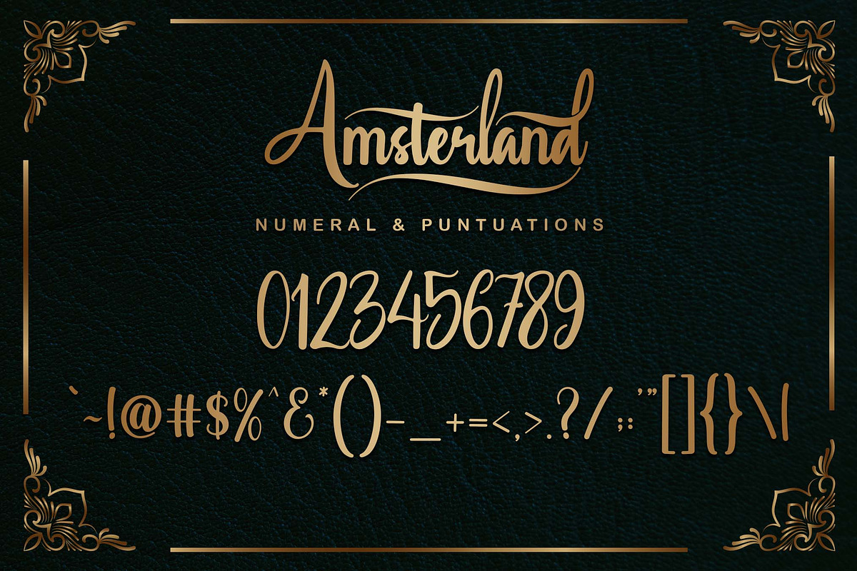 Amsterland | Handwritten Font, a Handwritten Font by Aveni Letter Type (Photo 12 of 15)