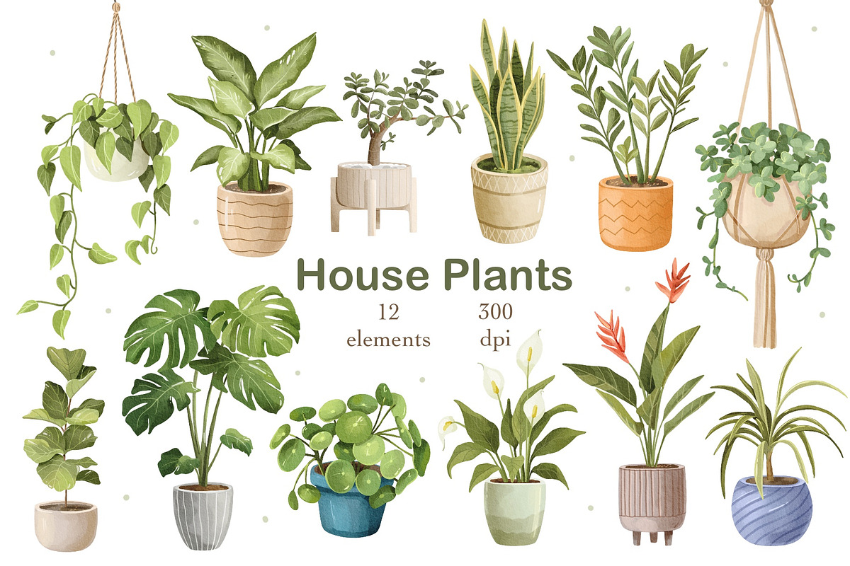Watercolor Houseplants Clipart, an Object Illustration by ArtGiftsStudio (Photo 1 of 5)