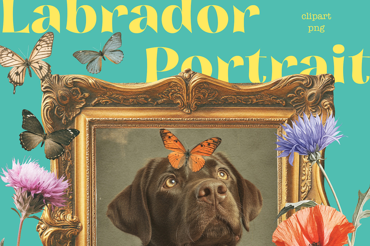 Labrador Portrait, an Object Graphic by TheCuteShop (Photo 5 of 5)
