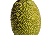 All Fruits Bundle Master Collection, a Food & Drink Photo by FlyeredTemplate (Thumbnail 127 of 130)