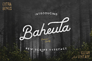 Baheula Vintage + Clean Typeface, a Script Font by Wandery Supply (Thumbnail 4 of 12)