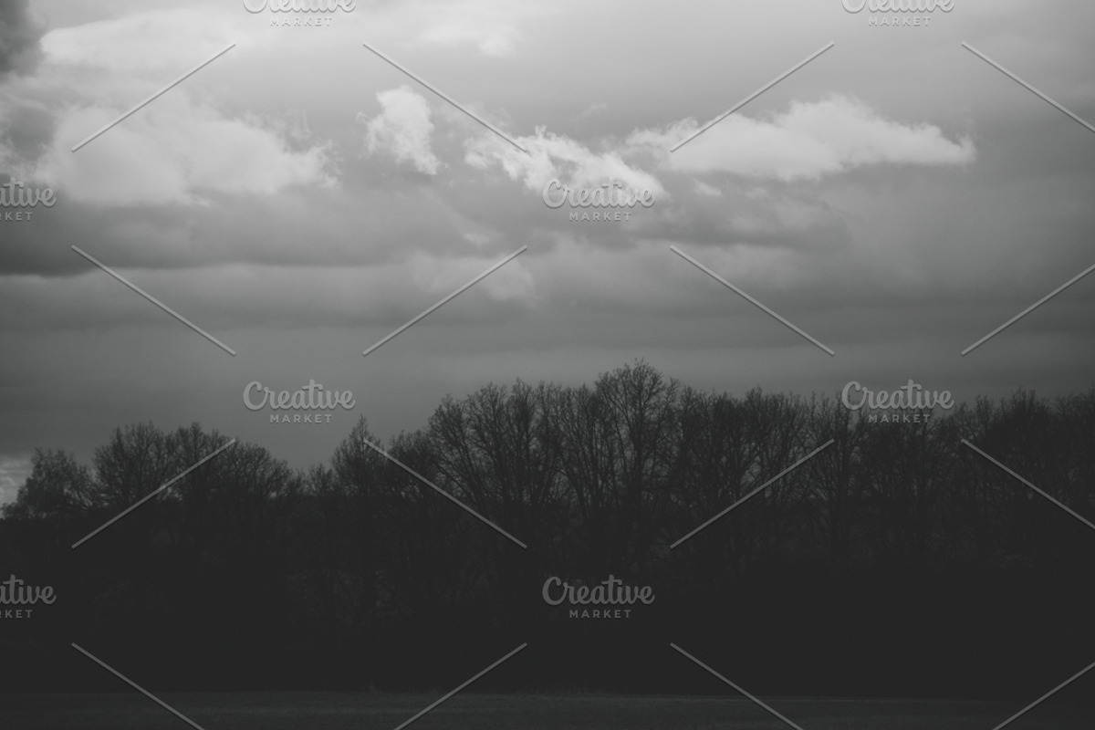 Mood collection, a Photo by Alekseyliss (Photo 21 of 21)