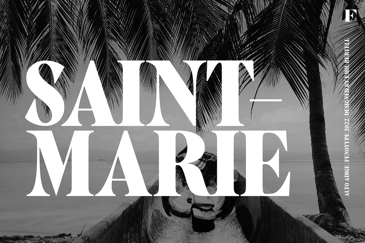 Alto Adige Serif Typeface, a Serif Font by Fenotype (Photo 5 of 14)