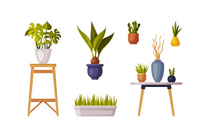 Decorative Houseplants in Pot and, an Object Illustration by TopVectors