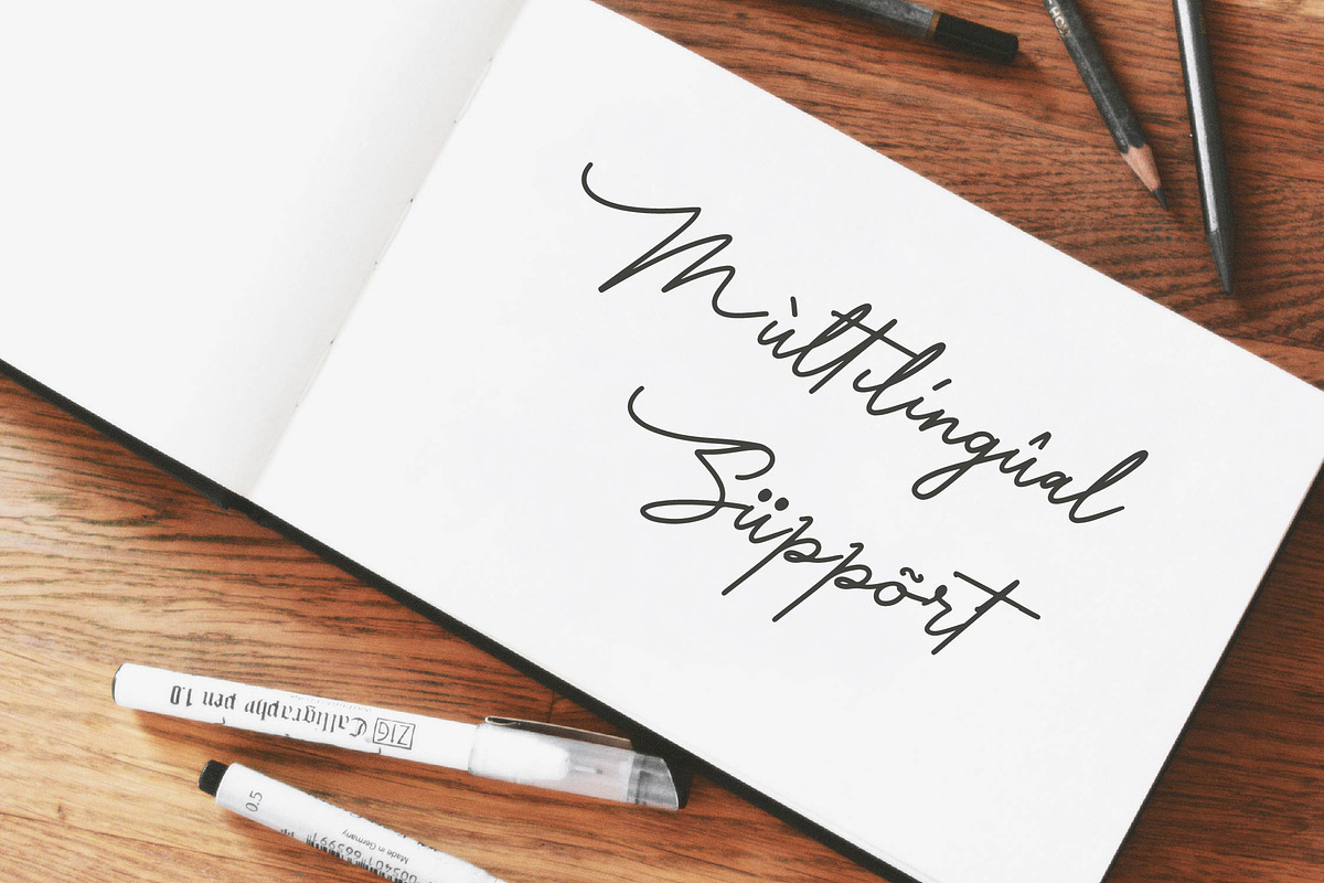 Maffenia Farmales | Monoline Stylish, a Script Font by Denustudios (Photo 13 of 14)