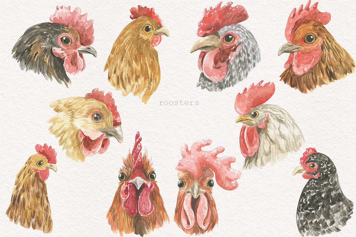 Hens and roosters, an Illustration by Love Watercolor Store (Photo 3 of 10)