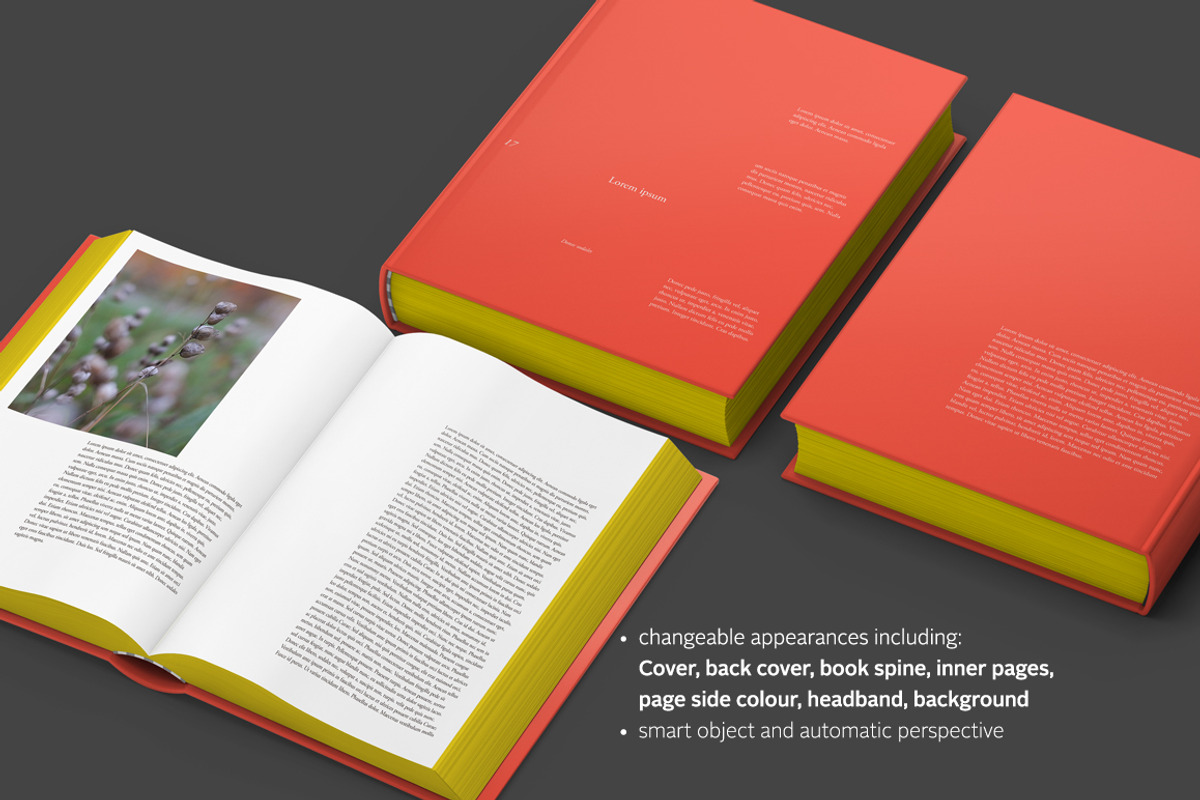 Hardcover Book Mock-up, a Print Template by Madbiologist (Photo 3 of 5)