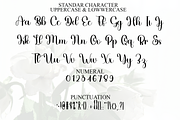 Lovely Dilligent, a Handwritten Font by FreshTypeINK (Thumbnail 4 of 9)