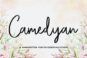 Camedyan, a Script Font by Essentials Studio (Thumbnail 1 of 8)
