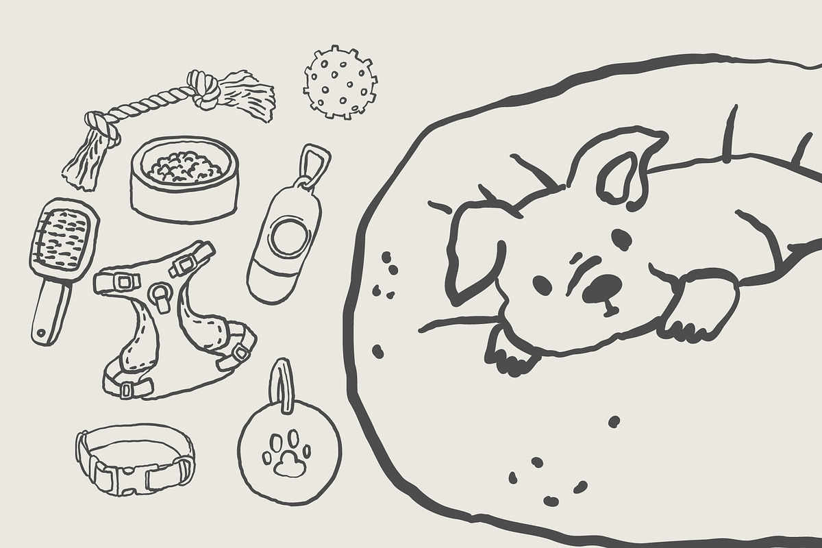 Dog Essentials, an Icon by Anastasiya Klempach (Photo 5 of 7)