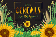 Cereals set, a Decorative Illustration by kateja (Thumbnail 1 of 5)