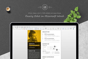 Infographic Word Resume Template