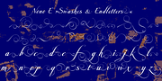 Nono, a Script Font by Wiescher-Design (Thumbnail 6 of 6)