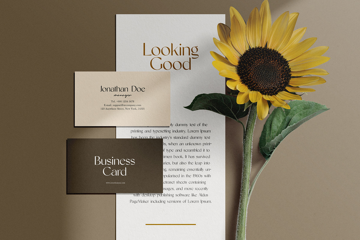 Facelio Modern Stylish Sans Serif, a Sans Serif Font by UICreative (Photo 5 of 13)
