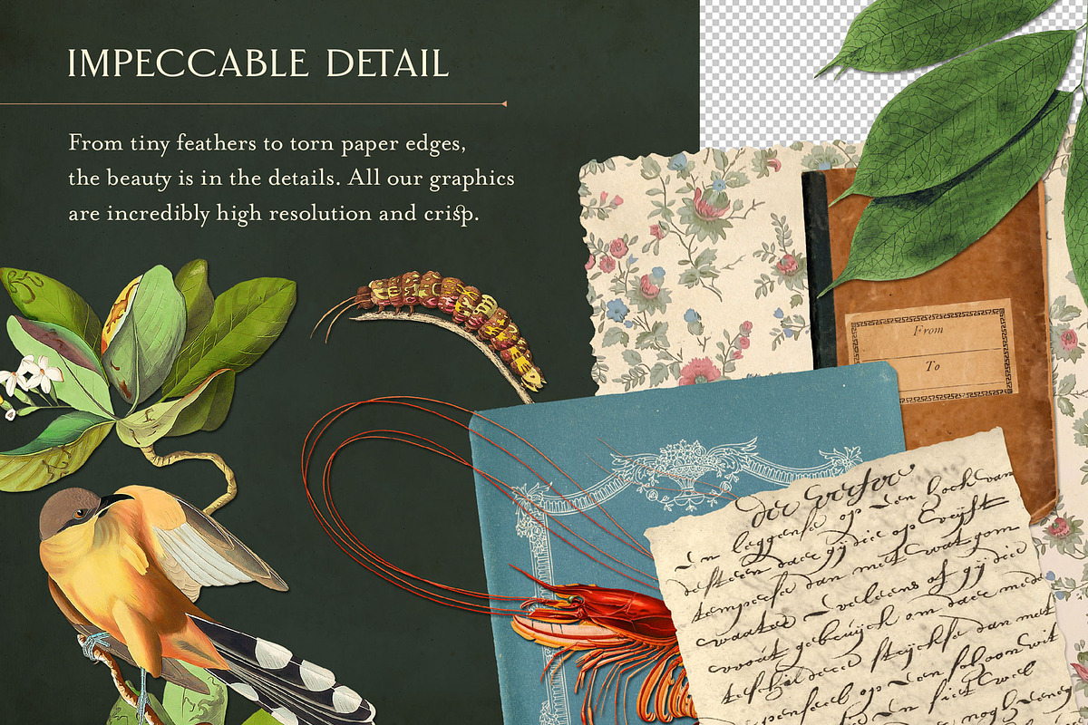 Vintage Bundle – 60% Off! – 21 Packs, an Object Graphic by The Object Atlas (Photo 3 of 26)