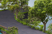 Beautiful Green runway isolated., an Illustration by Nomad (Thumbnail 4 of 4)