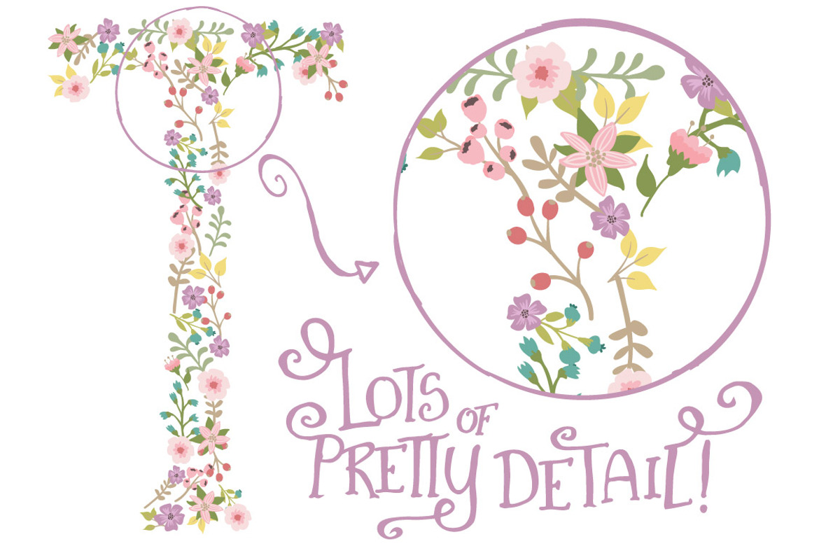 Garden Party Floral Alphabet Vectors, an Illustration by Amanda Ilkov (Photo 4 of 5)