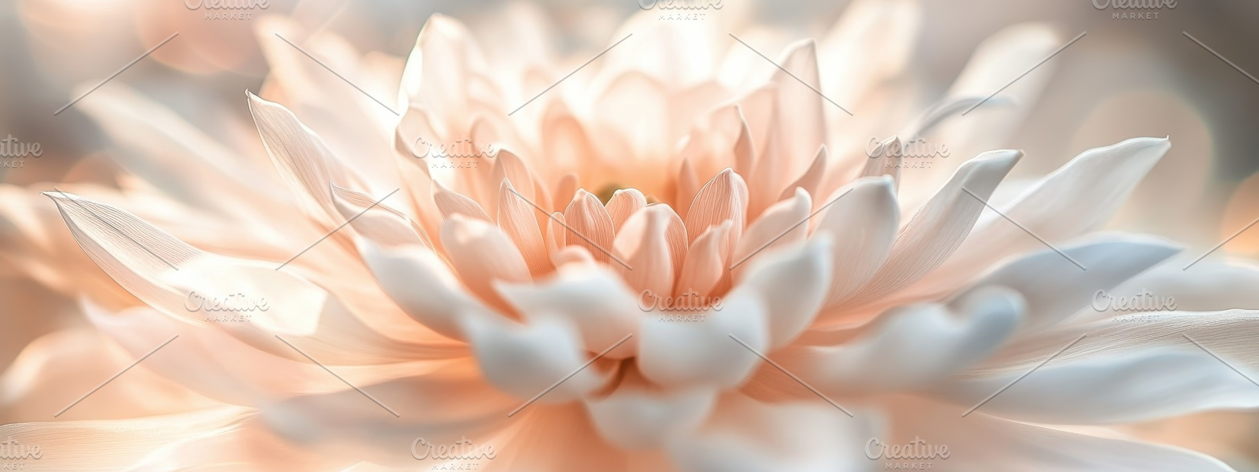 Blurred Flower Bathed, Ethereal Glow, a Nature Photo by Virgo Studio