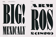 Shomina Font, a Serif Font by Cuchi, qué Tipo! Foundry (Thumbnail 17 of 21)