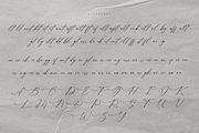 Nocturnal Blossom Handwritten Script, a Script Font by Namara Creative Studio (Thumbnail 15 of 16)