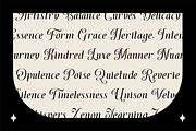 Dh Finola - 7 Elegant Serif Fonts, a Serif Font by Dharmas Foundry (Thumbnail 11 of 14)