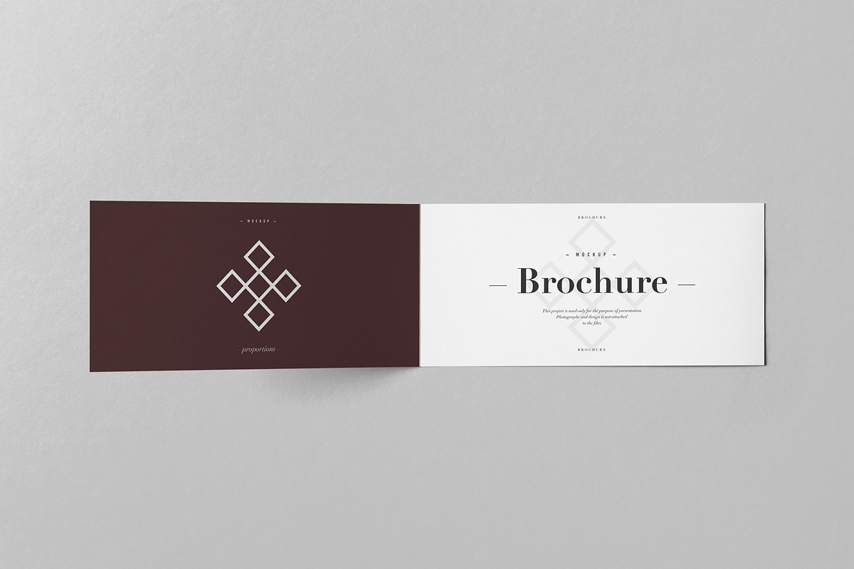 Bi-Fold DL Horizontal Brochure 2, an Advertising Mockup by Yogurt86 (Photo 8 of 14)