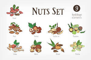 Nuts set + seamless patterns, a Food Illustration by Good Studio