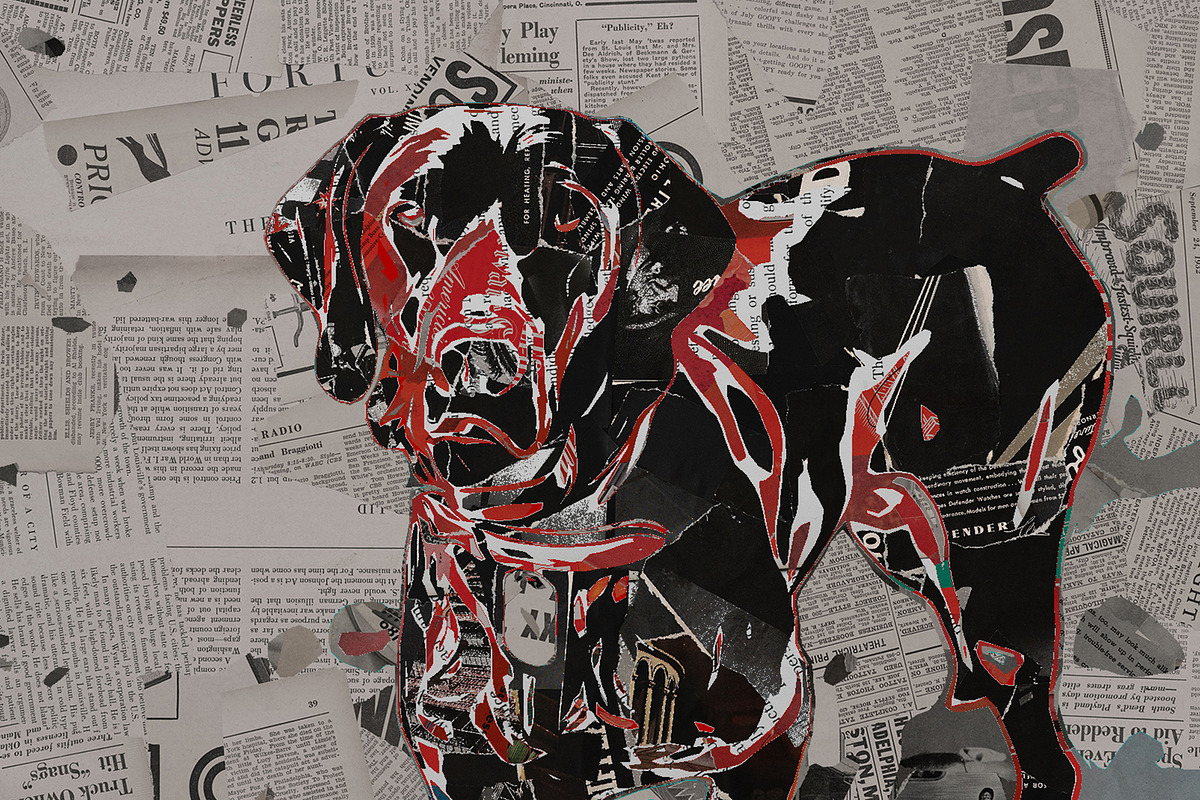 Torn Paper - Collage Effect, a Graphic by Craftsy Crafters (Photo 22 of 32)