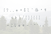 Sleeping Forest, a Serif Font by TypeKatsu (Thumbnail 4 of 4)