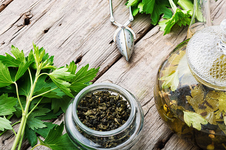 Brewed herbal tea, a Food & Drink Photo by MLunov MLunov